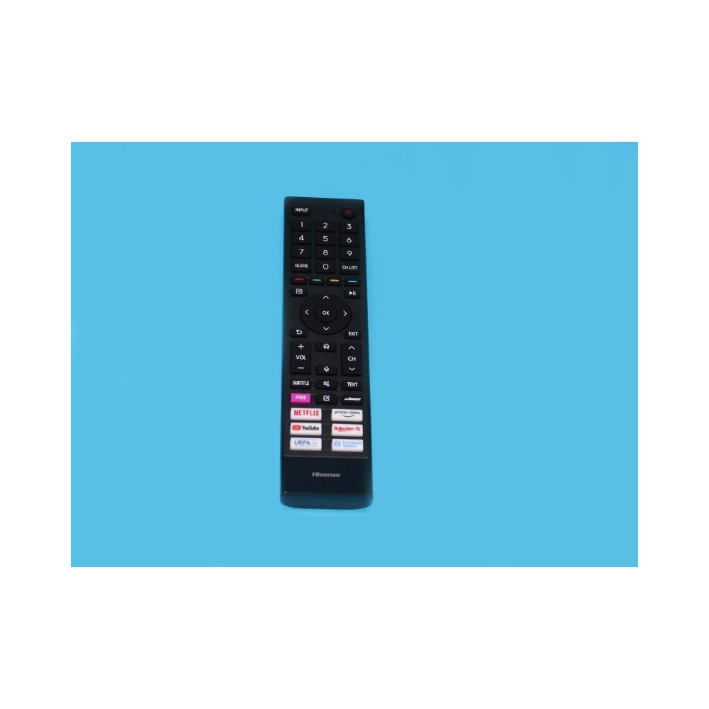 T304617 REMOTE CONTROL ERF3B80H(0012)